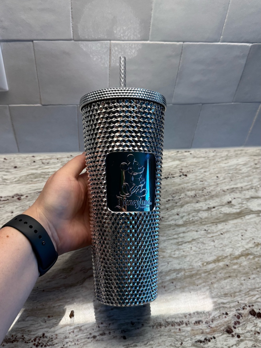 Disneyland Silver Studded Stainless Tumbler with Straw
